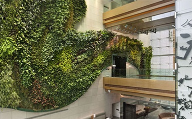 Asia’s Largest Indoor Vertical Garden